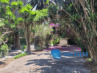 Finca for Sale in Antigua Guatemala - Image 4