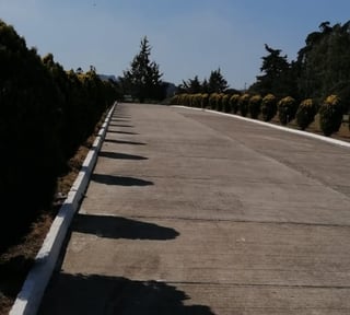 Terreno en Venta de 3 Criptas Cementerio Los Olivos CES