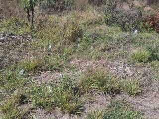 TERRENO EN CONDOMINIO MONTECRISTO/ SAN JOSE PINULA - 3