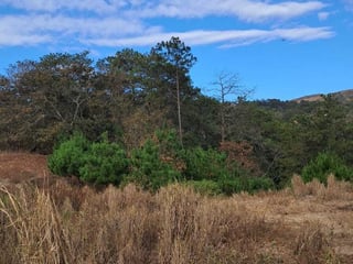 Finca en VENTA en San Pedro Ayampuc - 5