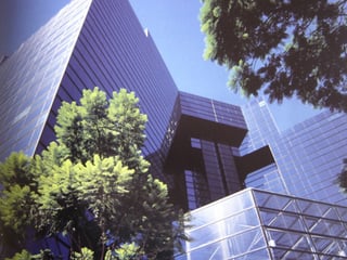 Local comercial de 40 Mts2 en alquiler en Zona 10 - 4