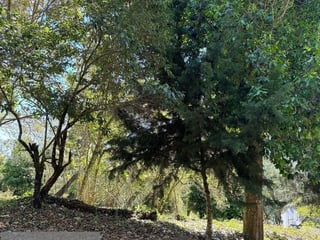 SAN GERMAN DE LA MONTAÑA / Casa en venta con Amplio Terreno, CES - 3