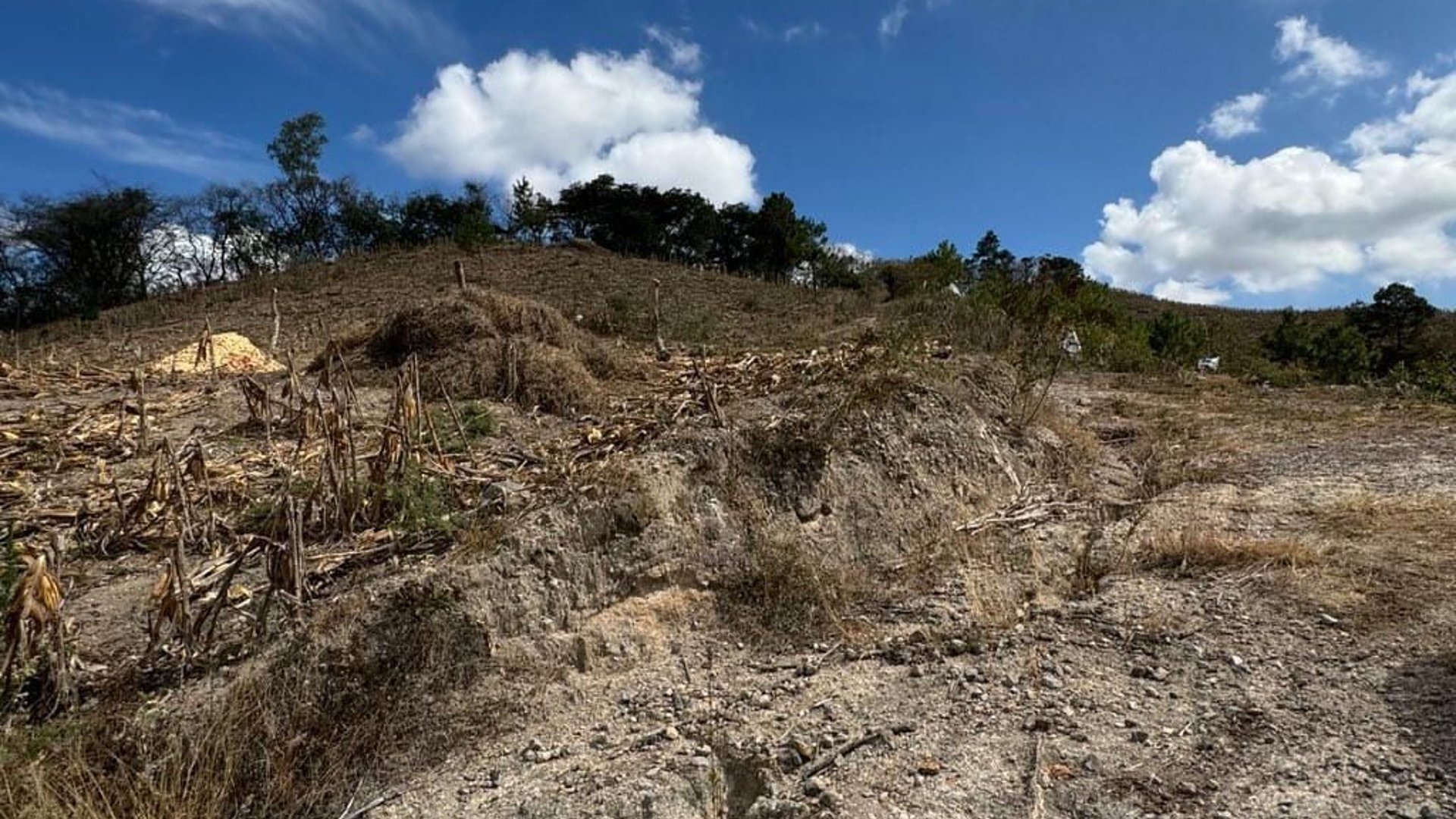 SAN PEDRO AYAMPUC/ FINCA EN VENTA PARA DESARROLLO - Miniatura 7