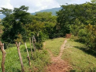 Terreno en VENTA  en Santa Rosa - 3