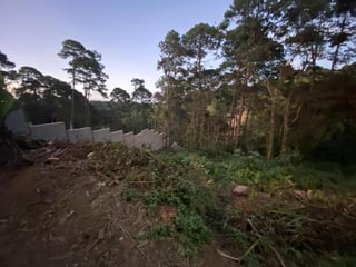 Terreno en Venta en Santa Rosalía - 2