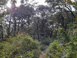 Terreno en Venta San Lucas Sacatepéquez, Guatemala - 3