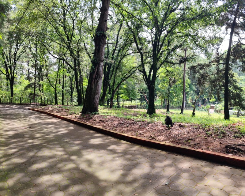 Terreno 100% Aprovechable en Venta ubicado Choacorral