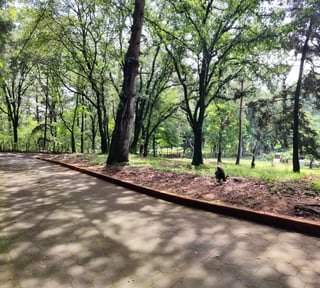 Terreno 100% Aprovechable en Venta ubicado Choacorral