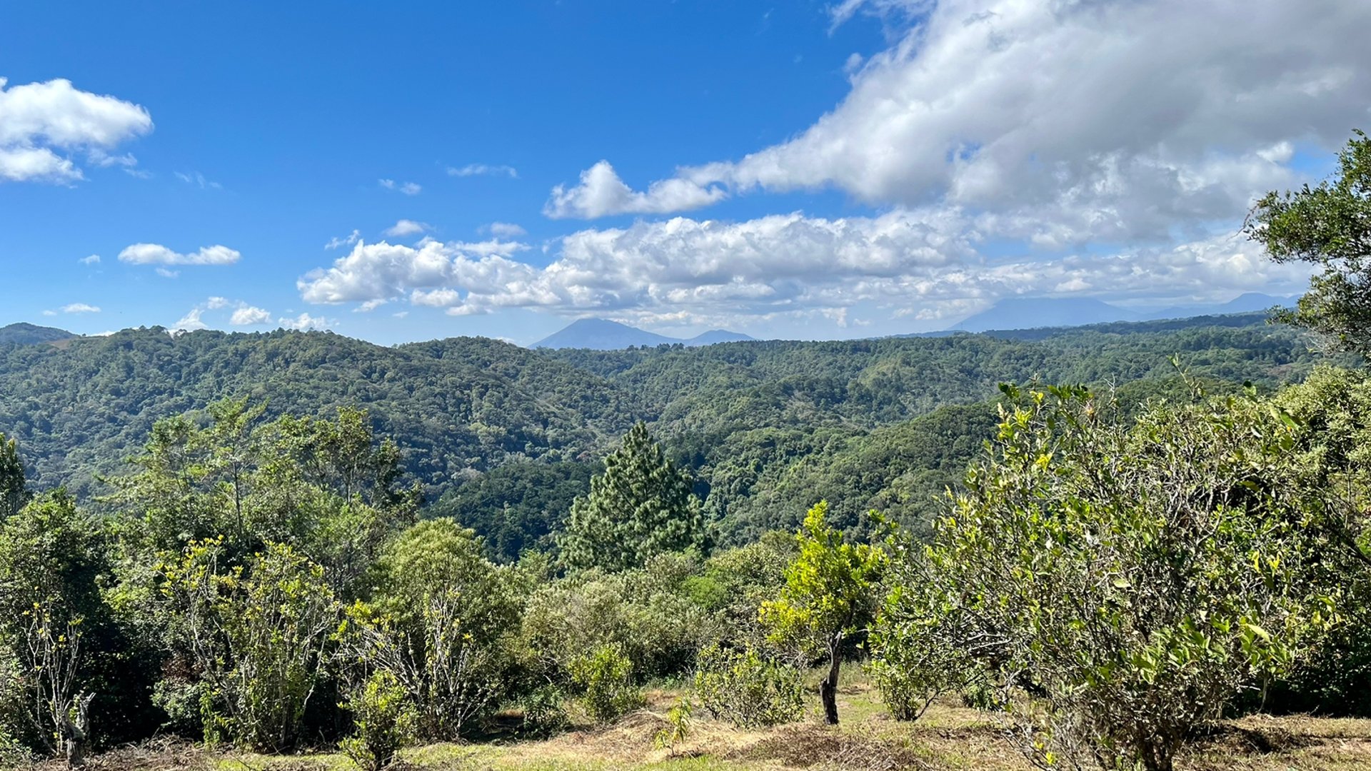 VENTA Finca Flor de Carmelo San José Pínula  - Miniatura 7