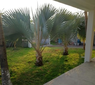 Casa en Venta Aldea el Hawai, Chiquimulilla, Santa Rosa - Miniatura 10