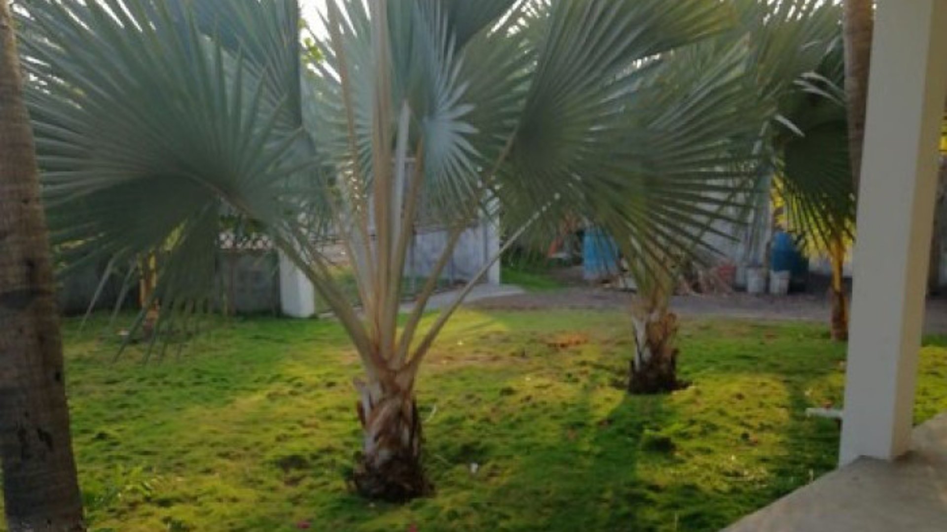 Casa en Venta Aldea el Hawai, Chiquimulilla, Santa Rosa - Miniatura 10