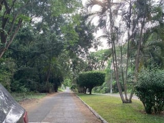 Lote en Venta RioSul, Escuintla, Guatemala - Image 8