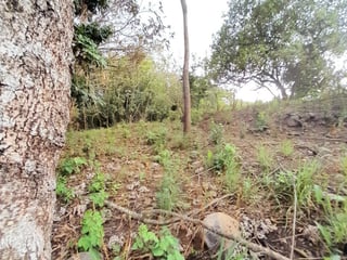 Terreno en Venta en Quintas Vallarta Escuintla - 2