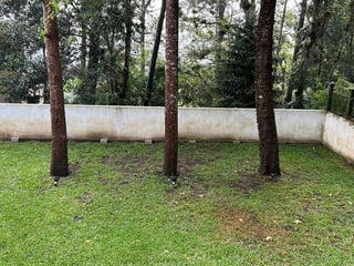 SANTA ROSALIA / CASA EN VENTA , CES - Image 5