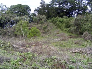 TERRENO 4.5 MANZANAS PARA DESARROLAR EN SAN ISIDRO, ZONA 16 - 4