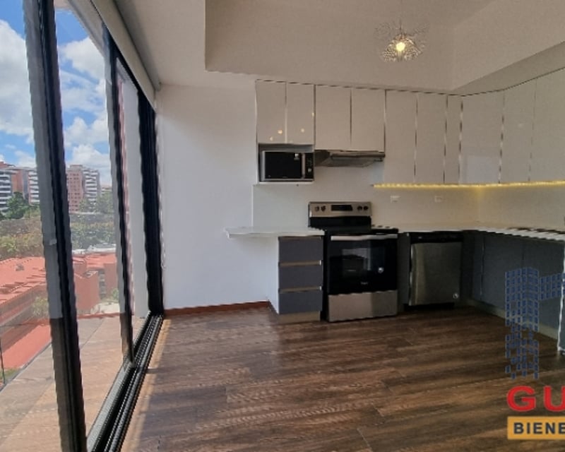 Apartamento en Renta, Zona 10 (R9141)