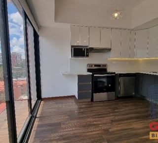 Apartamento en Renta, Zona 10 (R9141)