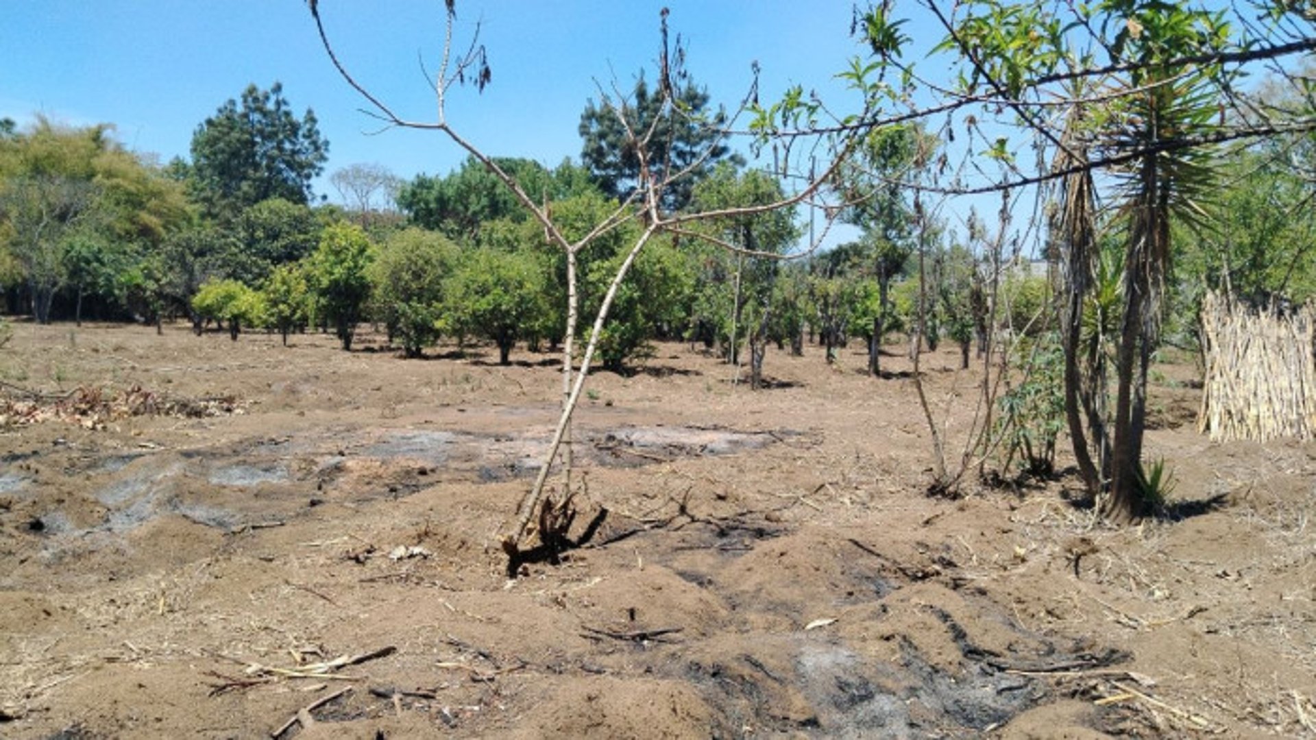 TERRENO EN VENTA EN CHIMALTENANGO - Miniatura 13