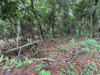 VENTA TERRENOS EN EL ENCINAL, MIXCO - 2