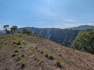 Km23 carretera Atlantico / Finca en venta - 3
