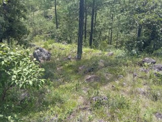 TERRENO EN VENTA – HUEHUETENANGO (PIEDRAS NEGRAS) - 3