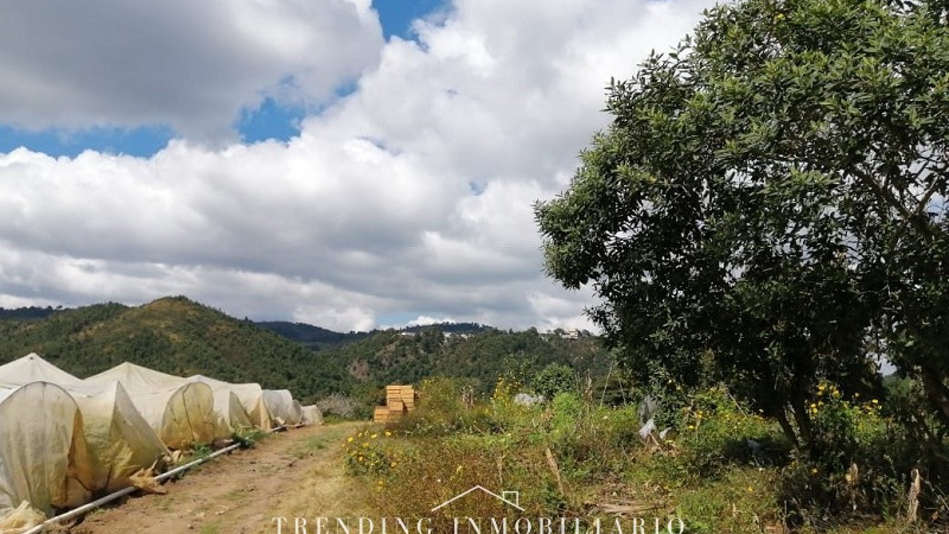 ✨????️ Zona 18, finca en venta, 96 manzanas ✨ ideal proyecto inmobiliario - Miniatura 2