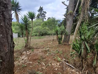 Terreno en Venta en Zona 16 El Pulté Guatemala - 4