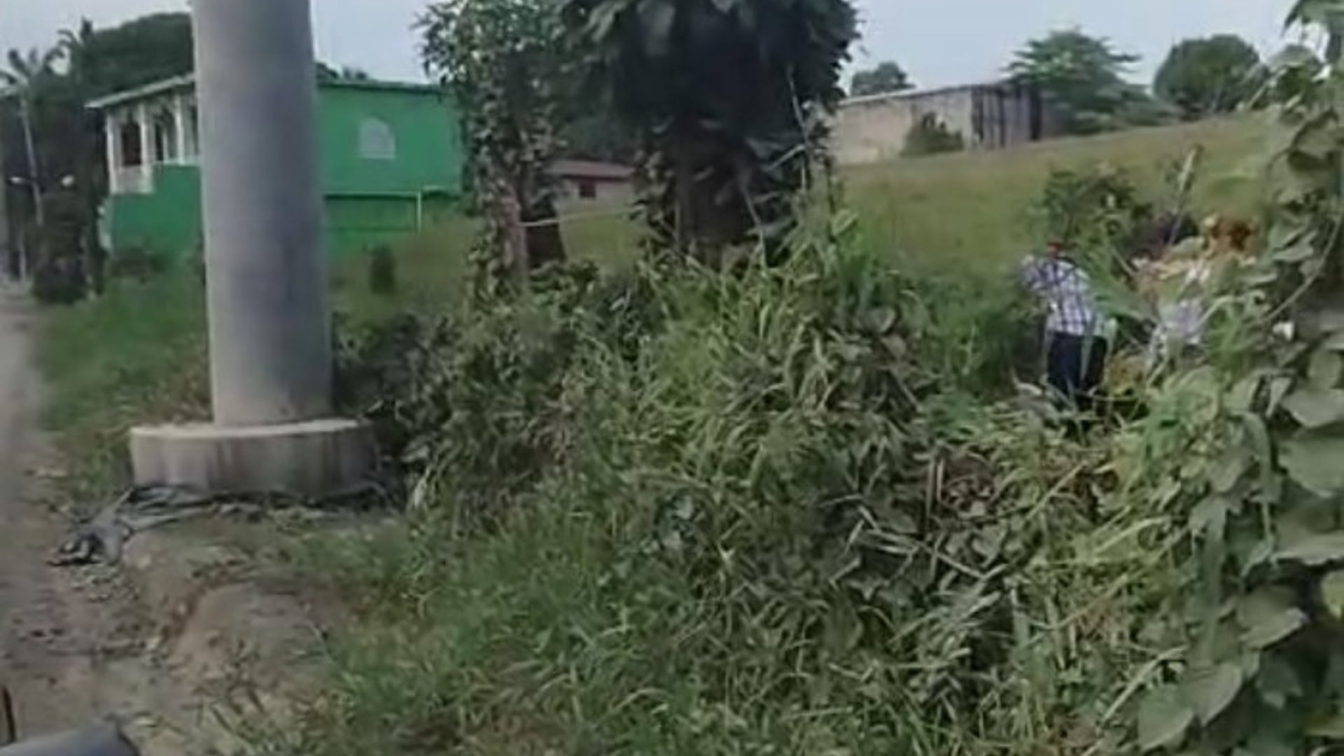 Finca en Puerto Barrios Izabal - Miniatura 3