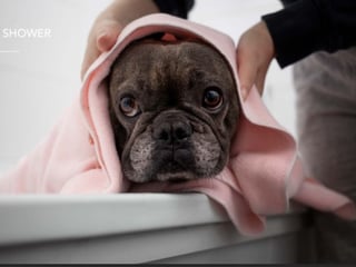 Apartamento en Venta Zona 12 - Image 15