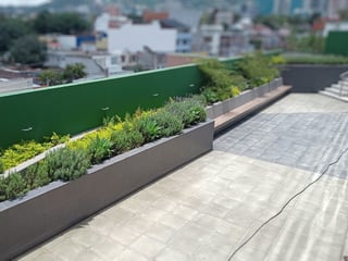 EDIFICIO EN RENTA EN ZONA 10 - Image 21