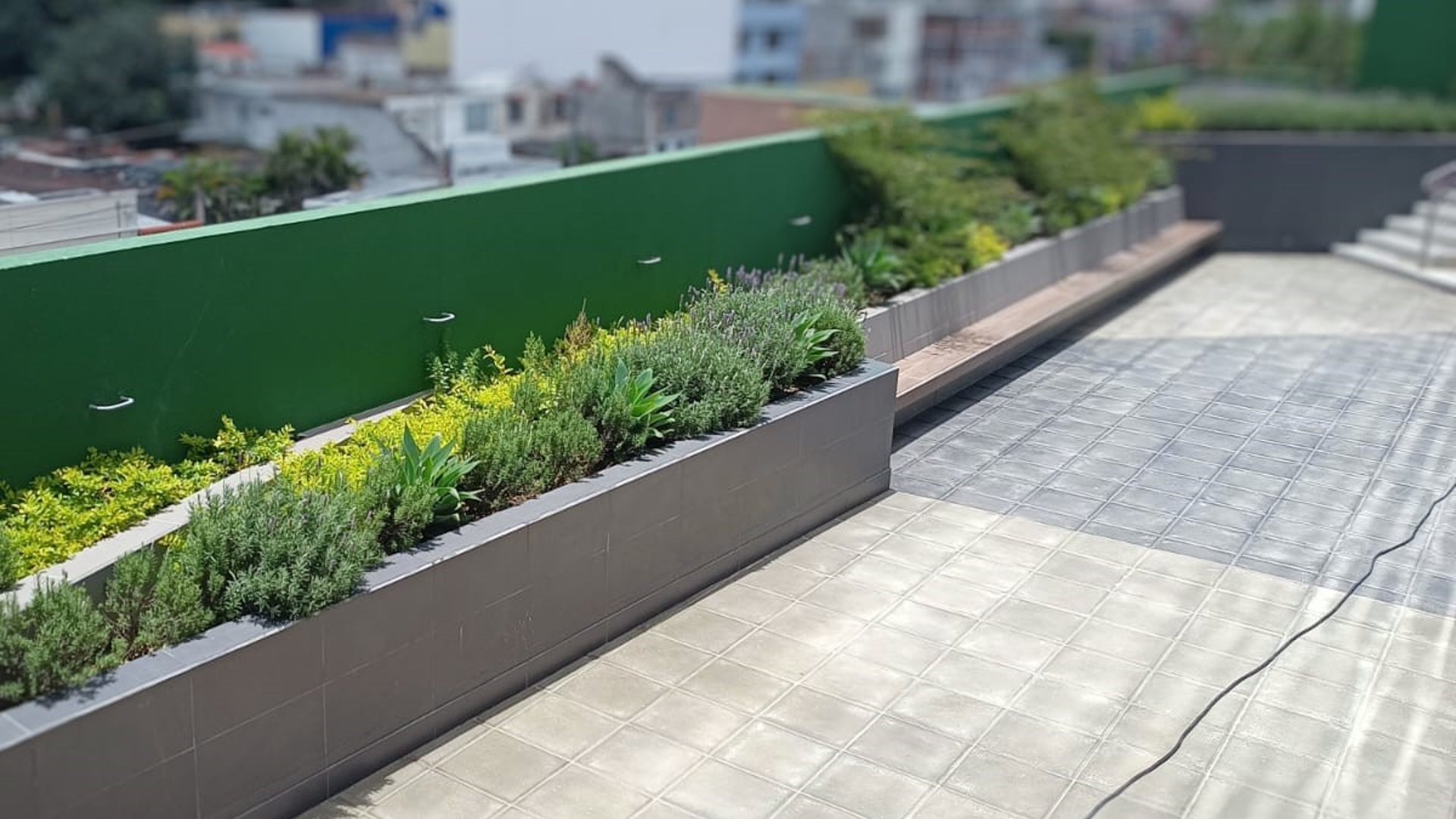 EDIFICIO EN RENTA EN ZONA 10 - Miniatura 21