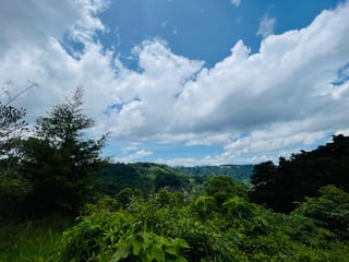 VENTA DE AMPLIO TERRENO - LAS MANZANILLAS, KM 19.9 CES - 2