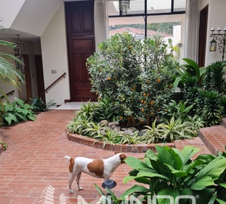 CASA EN VENTA EN ZONA 10 - Miniatura 3