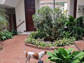 CASA EN VENTA EN ZONA 10 - Image 3