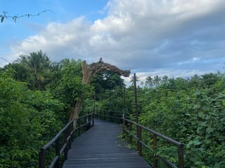 4 Bedroom Beach House for Sale in Condominio ALTA MAR, Puerto San José | 606m² | $295,000 - Image 16
