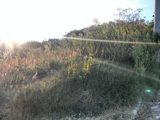 Terreno en Venta en Carretera a Barcenas, Villa Nueva - 5
