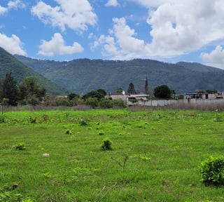 Terreno en Renta en Jocotenango
