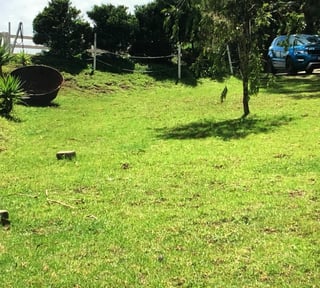 Granja en venta, Santa Catarina Pinula 