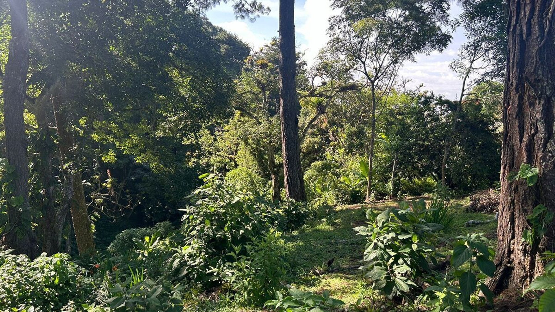 Terreno a la venta Santa Rosalía, km 12.5 CAES