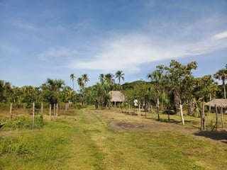 GANGA TERRENO EN VENTA – ALDEA EL CEBOLLITO, HAWÁI CHIQUIMULA - 5