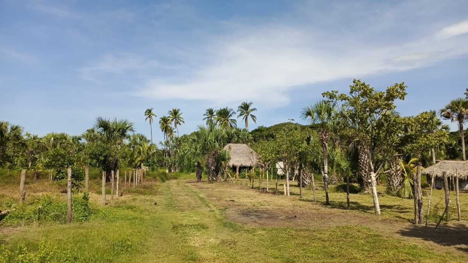GANGA TERRENO EN VENTA – ALDEA EL CEBOLLITO, HAWÁI CHIQUIMULA - Miniatura 5