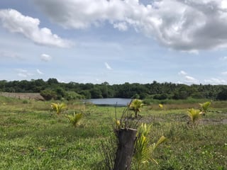 Venta de Terreno en Escuintla - 2