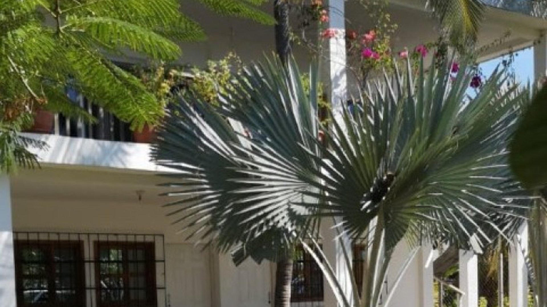 Casa en Venta Aldea el Hawai, Chiquimulilla, Santa Rosa - Miniatura 4