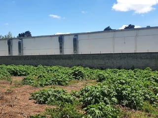 Terreno en venta, CES km 22.8 - 4