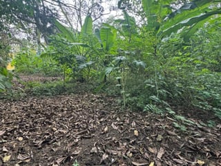 Terreno en Venta en Carretera San Lucas hacia Antigua - 5