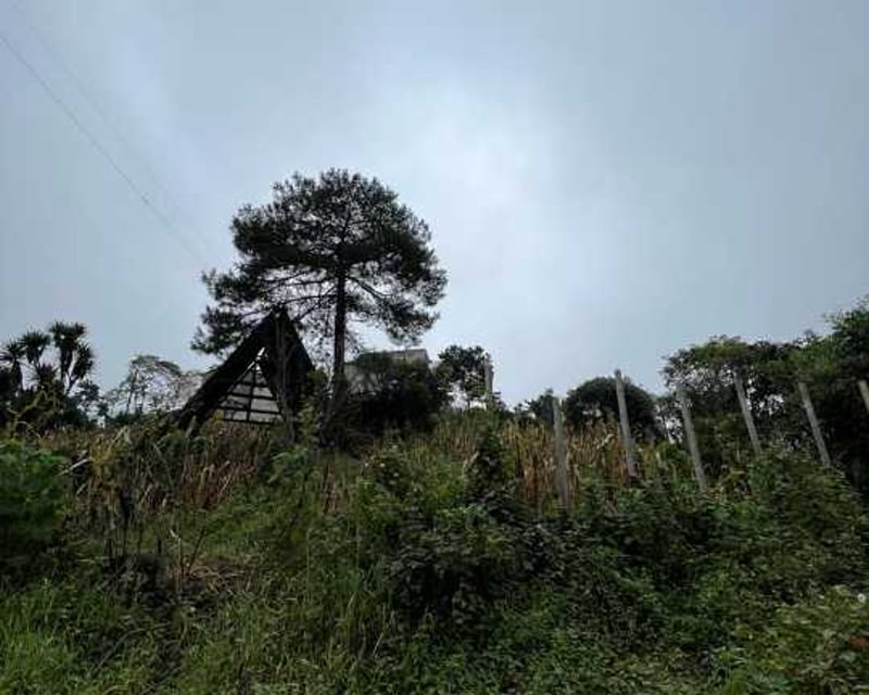 Vendo Terreno en Aldea Piedra Parada El Rosario zona 6 Santa Catarina