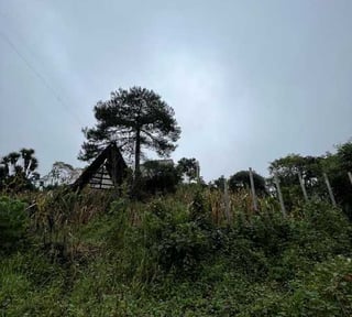 Vendo Terreno en Aldea Piedra Parada El Rosario zona 6 Santa Catarina