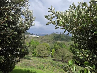 Exclusivo Terreno en venta El Pulté zona 16 Guatemala - 5