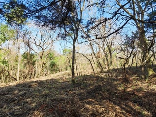 Casa   Campo Terreno en Carretera El Salvador en Venta - 4