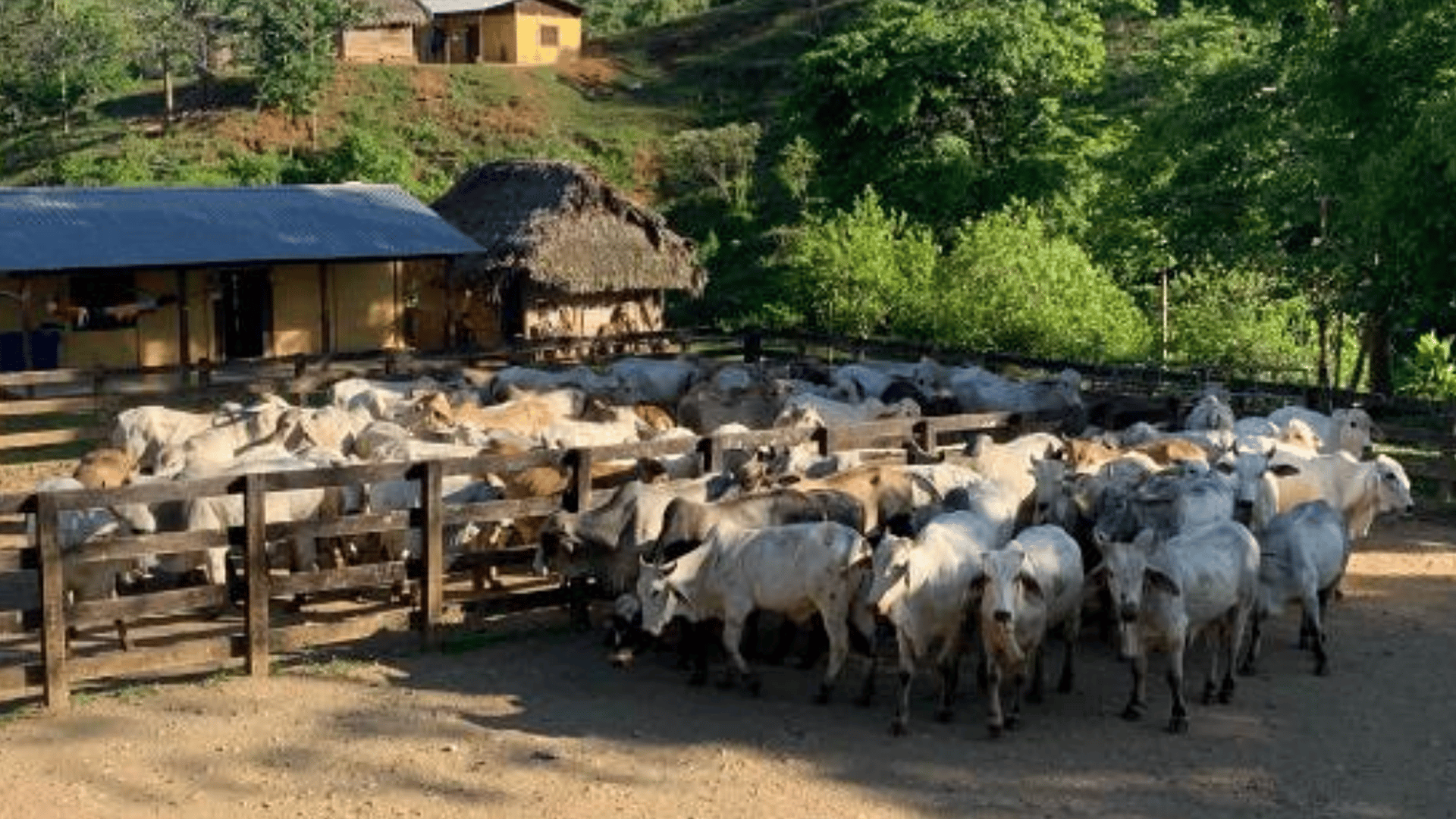 Finca en VENTA en Municipio Nuevo Chahal, Alta Verapaz - Miniatura 7